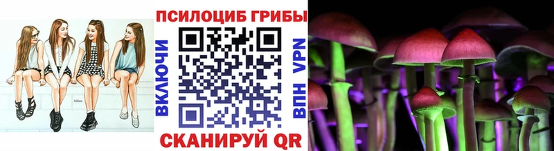 хочу   Калуга  Псилоцибиновые грибы Cubensis 