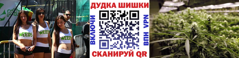 Марихуана конопля  Калуга 
